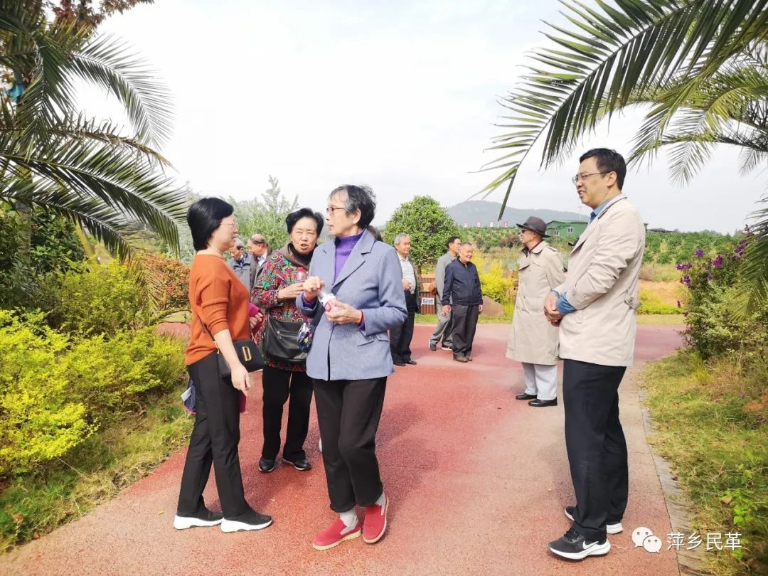 民革萍乡市委会开展“看乡村巨变，享最美重阳”活动